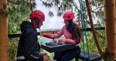 Plan en las copas de los rboles en pareja