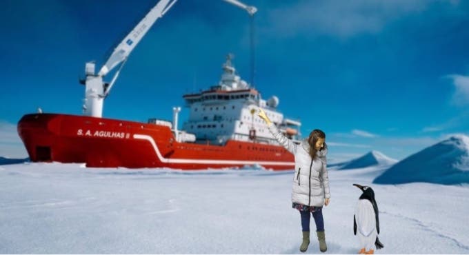 La pingüina viajera