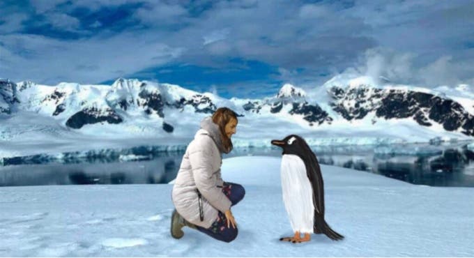 La pingüina viajera