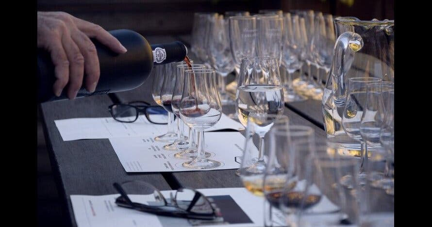 Degustación de Malbec y Vinos argentinos y Tour de arte urbano 