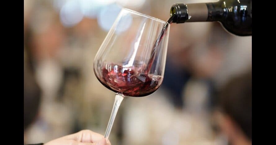 Degustación de Malbec y Vinos argentinos y Tour de arte urbano 