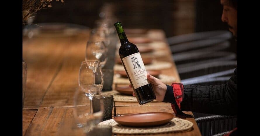 Cata de vinos en Bodega Gamboa con almuerzo Gourmet