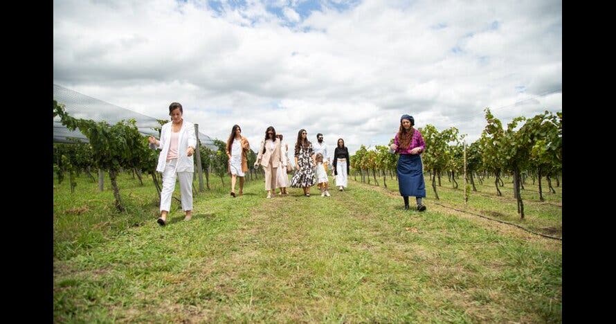 Cata de vinos en Bodega Gamboa con almuerzo Gourmet