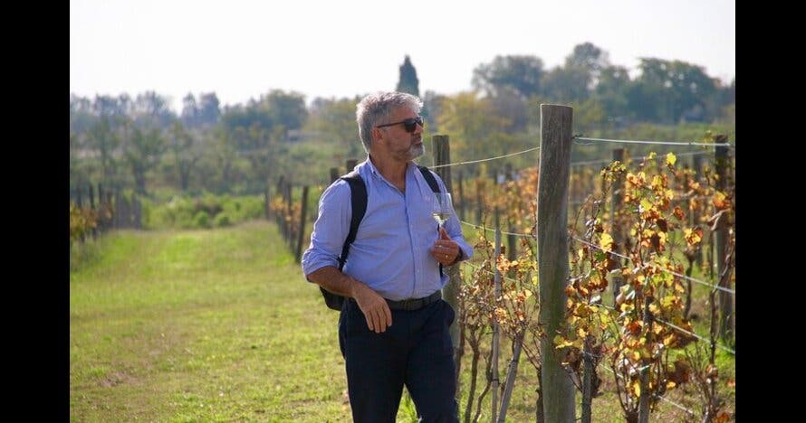 Cata de vinos en Bodega Gamboa con almuerzo Gourmet