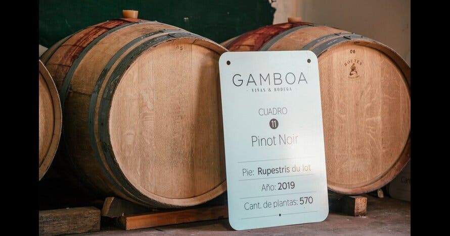 Cata de vinos en Bodega Gamboa con almuerzo Gourmet