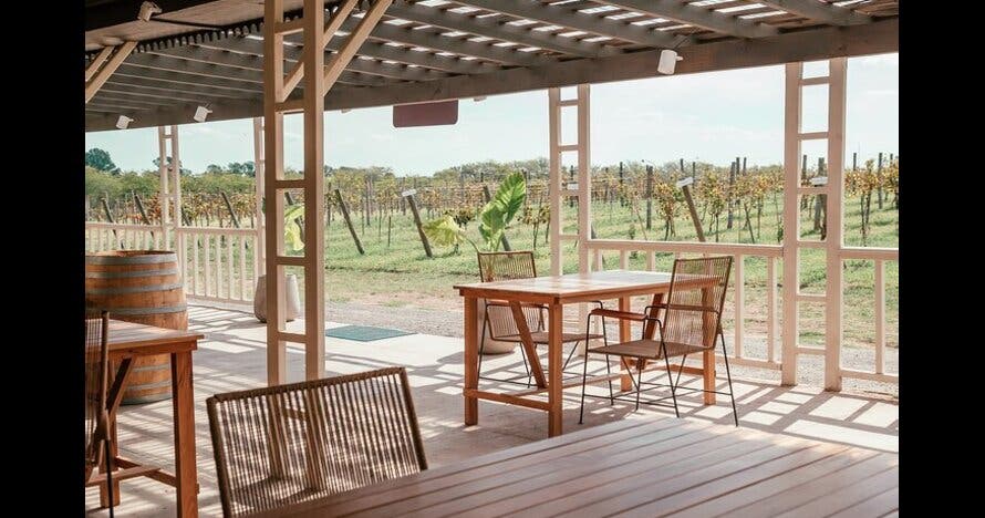Cata de vinos en Bodega Gamboa con almuerzo Gourmet