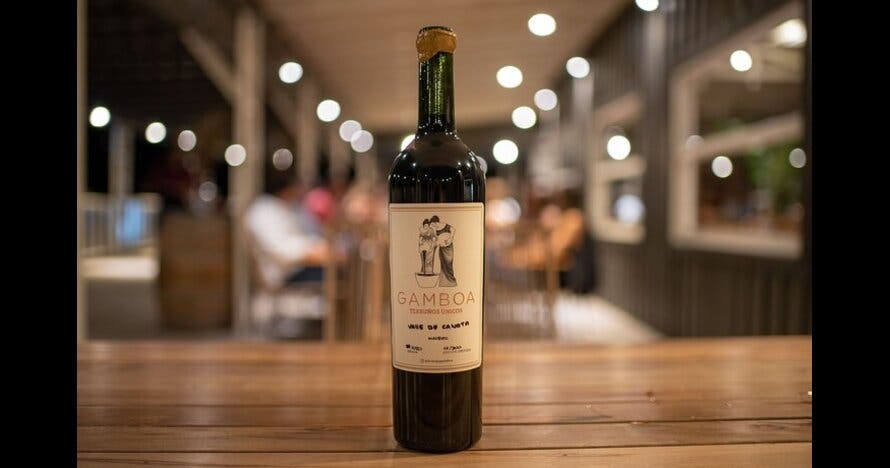Cata de vinos en Bodega Gamboa con almuerzo Gourmet