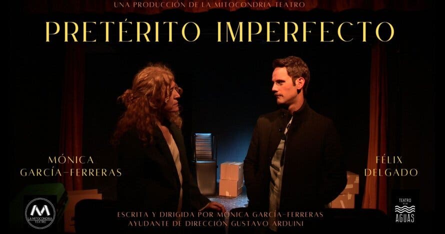 Pretérito imperfecto