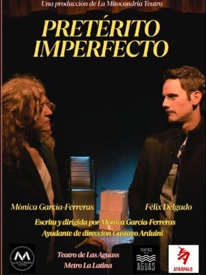 Pretérito imperfecto