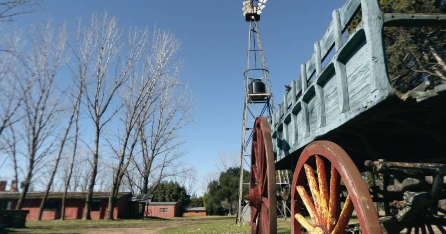 Rodizio Campo