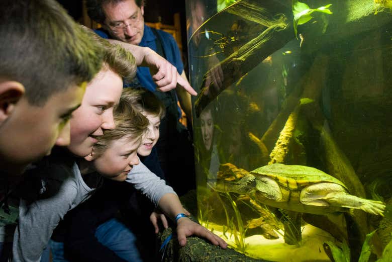Entrada a SEA LIFE® Munich