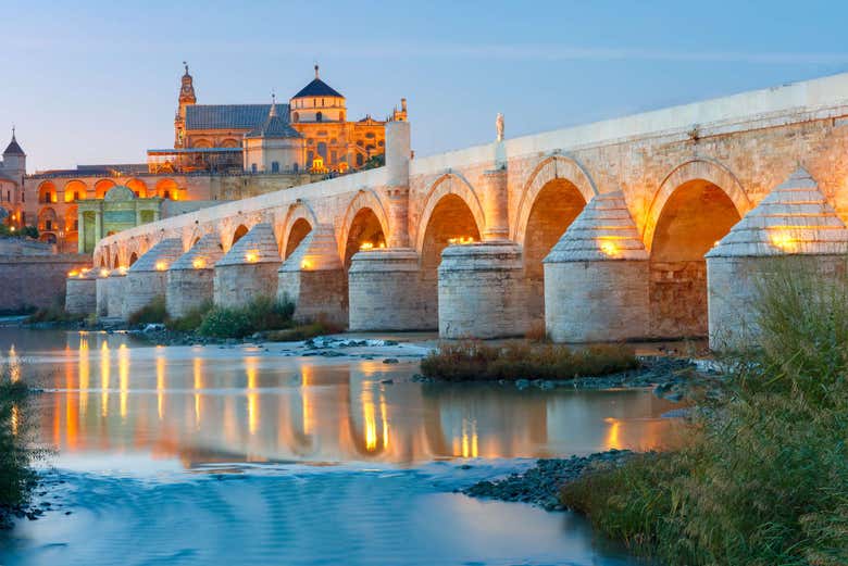 Excursión privada desde Granada