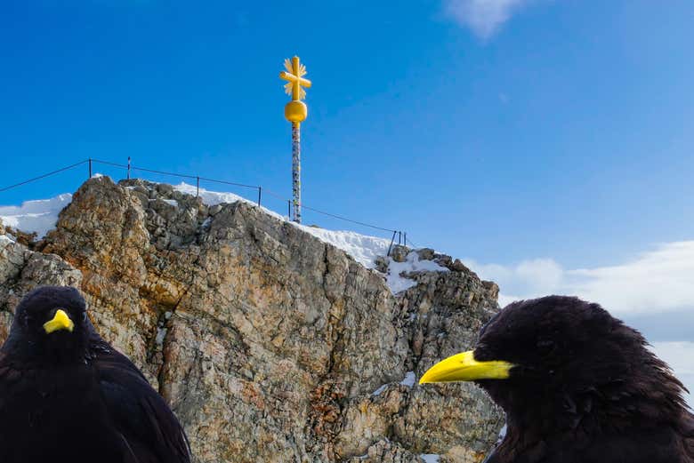Excursión al Zugspitze