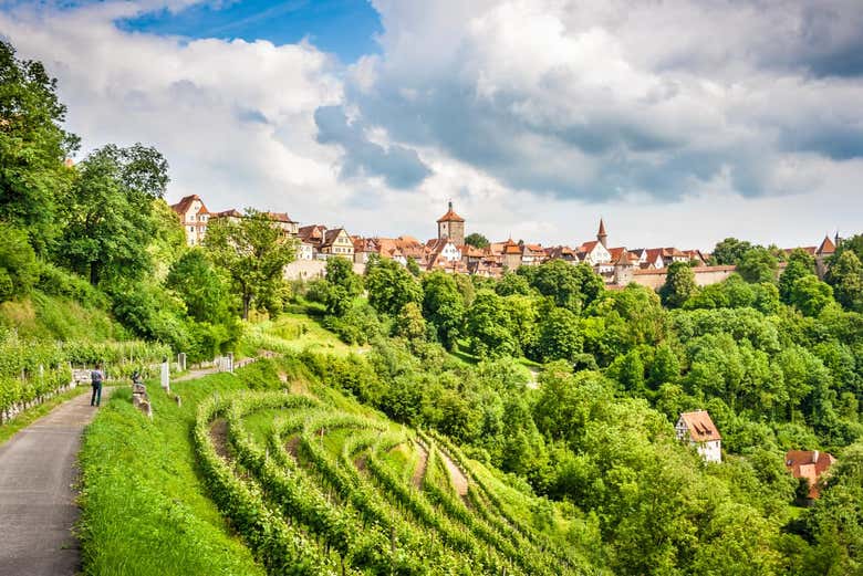 Excursión al castillo de Harburg y Rotemburgo