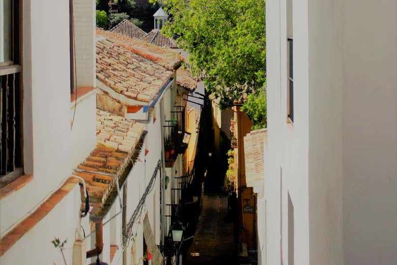 Oferta: Alhambra + Albaicín y Sacromonte