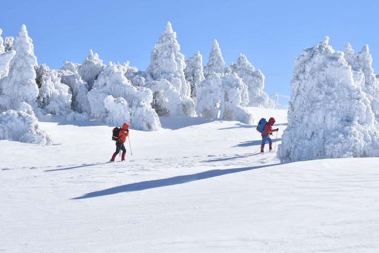 Paseo con raquetas de nieve por Sierra Nevada