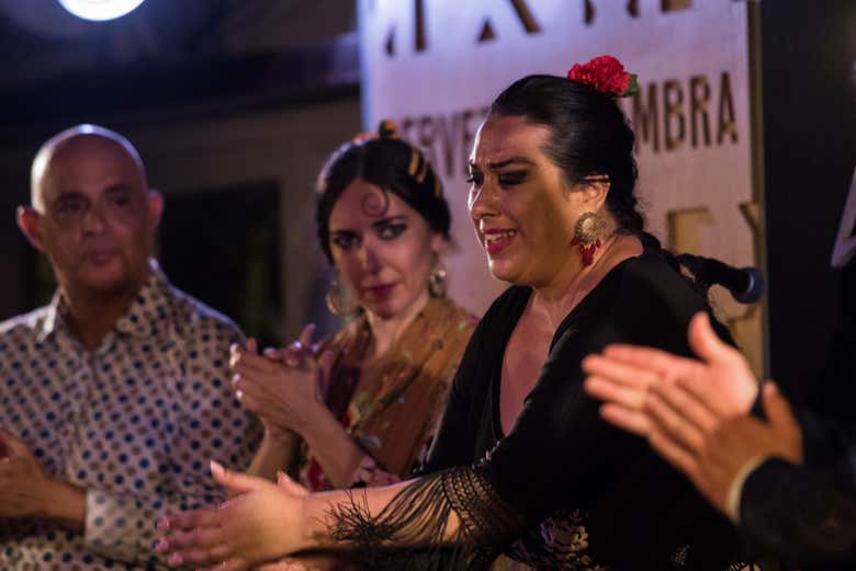 Flamenco en Albaicín: Jardines de Zoraya