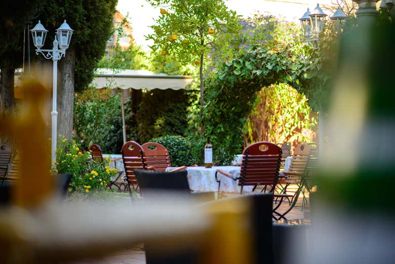 Flamenco en Albaicín: Jardines de Zoraya