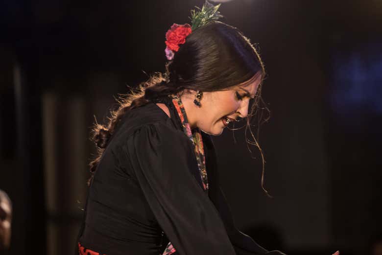 Flamenco en Albaicín: Jardines de Zoraya