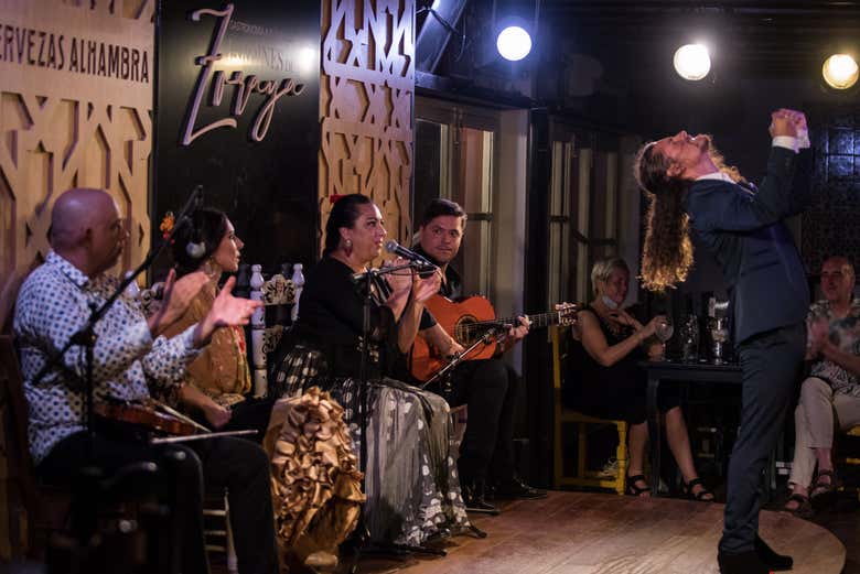 Flamenco en Albaicín: Jardines de Zoraya