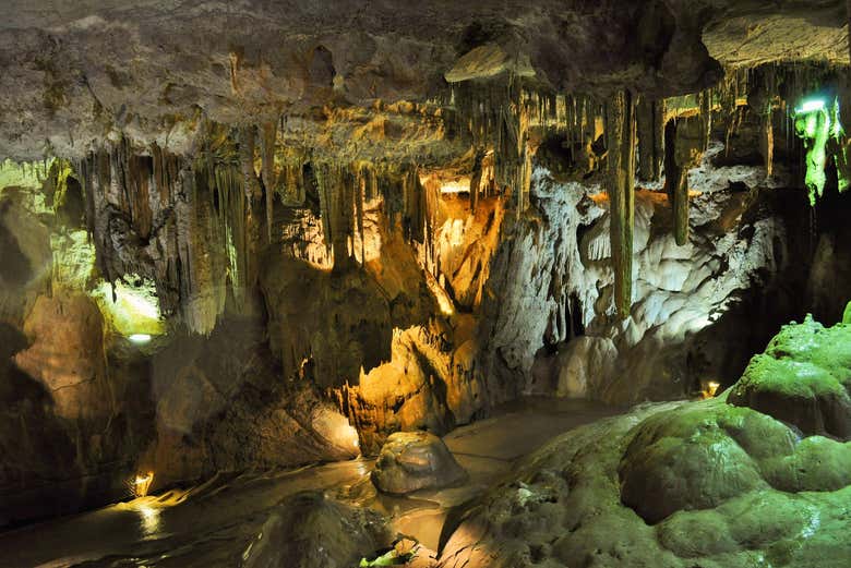 Excursión a la Costa Tropical y la Cueva de Nerja