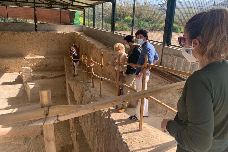 Excursión a la villa romana de Salar