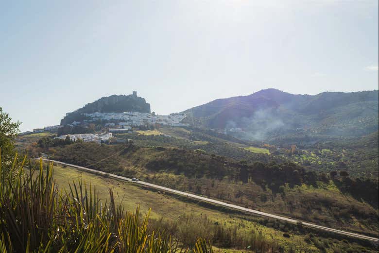 Excursión a los pueblos blancos y Ronda