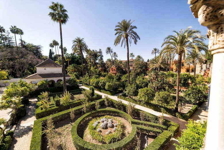 Tour por el Alcázar, la Catedral y la Giralda en grupo reducido