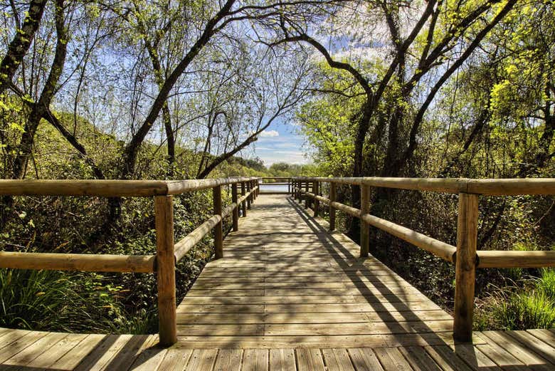Excursión a Doñana