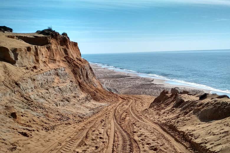 Excursión a Doñana