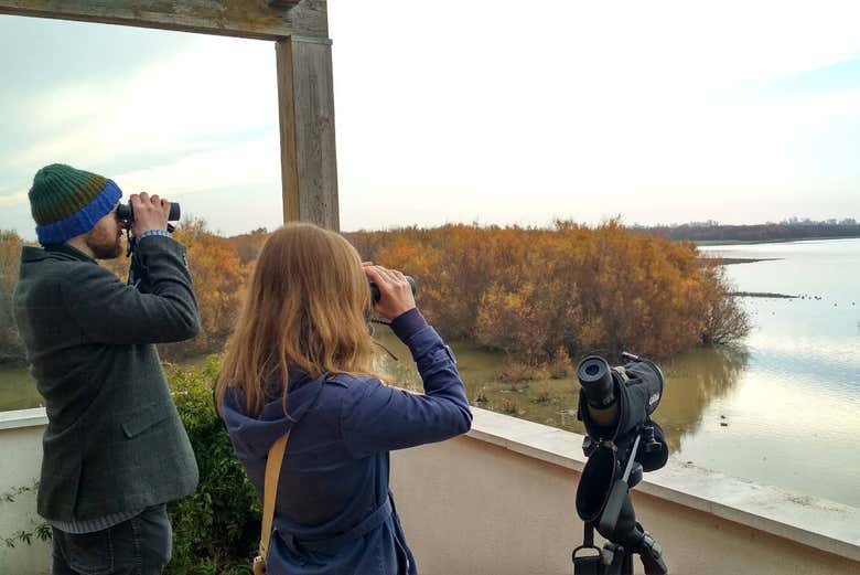 Excursión a Doñana