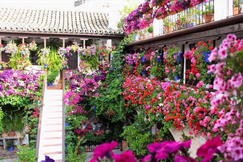 Free tour por los patios de Córdoba