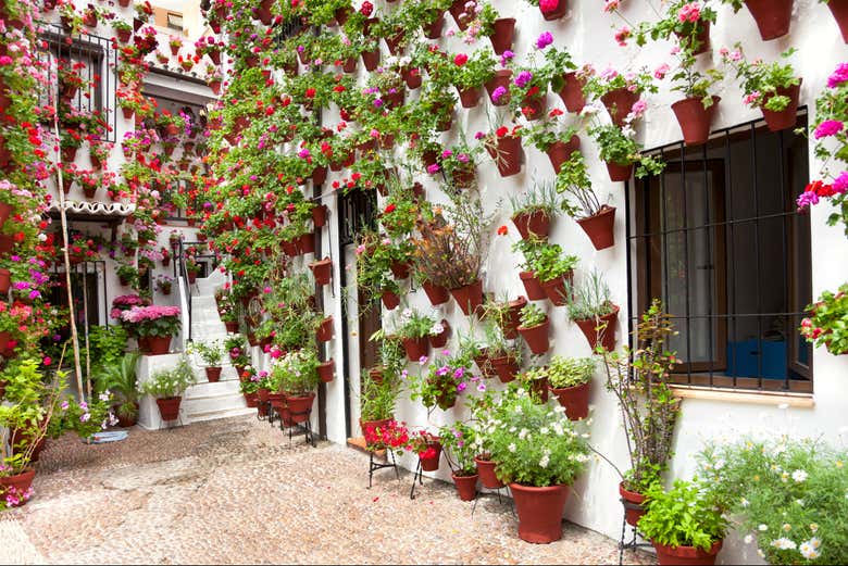 Free tour por los patios de Córdoba