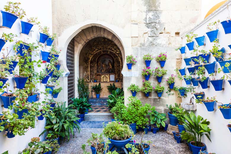 Free tour por los patios de Córdoba