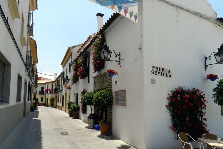 Free tour por los patios de Córdoba