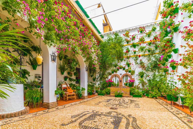 Free tour por los patios de Córdoba