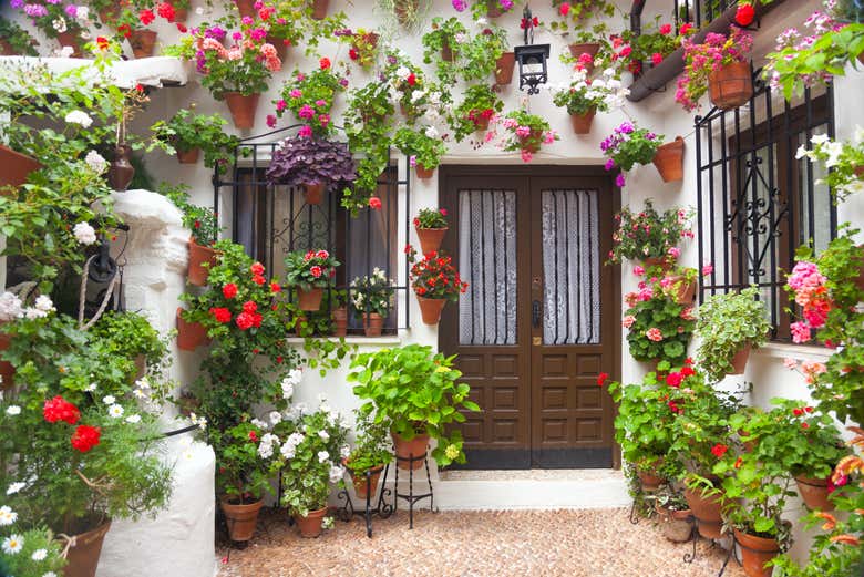 Free tour por los patios de Córdoba