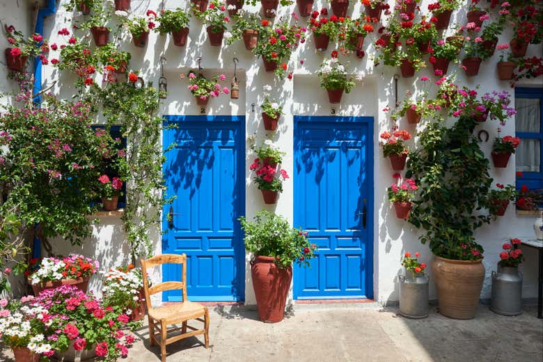 Free tour por los patios de Córdoba