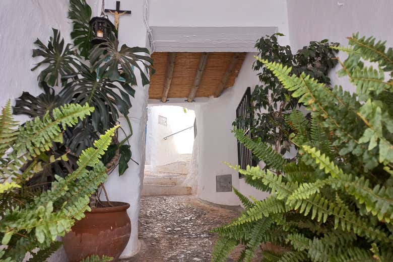 Excursión a Nerja, Frigiliana y El Acebuchal en grupo reducido