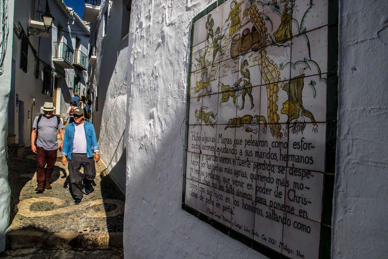 Excursión a Nerja, Frigiliana y El Acebuchal en grupo reducido