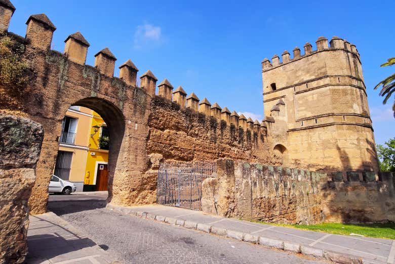 Tour por la Macarena + Palacio de las Dueñas