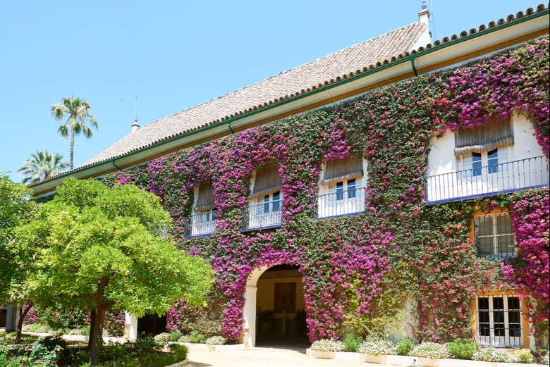 Tour por la Macarena + Palacio de las Dueñas