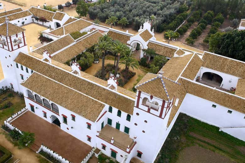 Visita guiada por una almazara