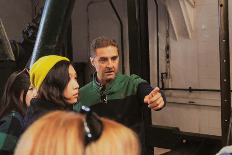 Visita guiada por una almazara