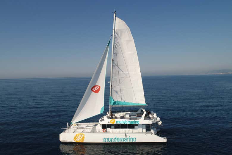 Paseo en catamarán por la bahía de Málaga