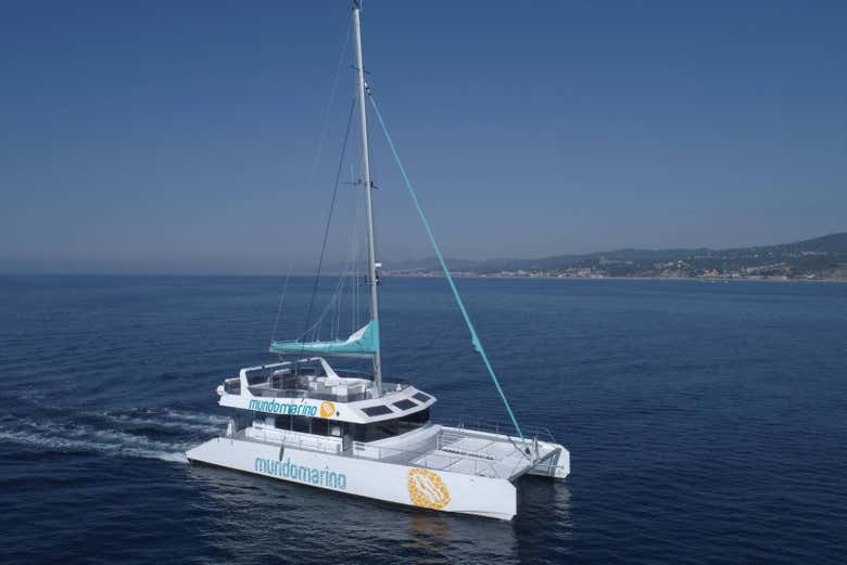 Paseo en catamarán por la bahía de Málaga