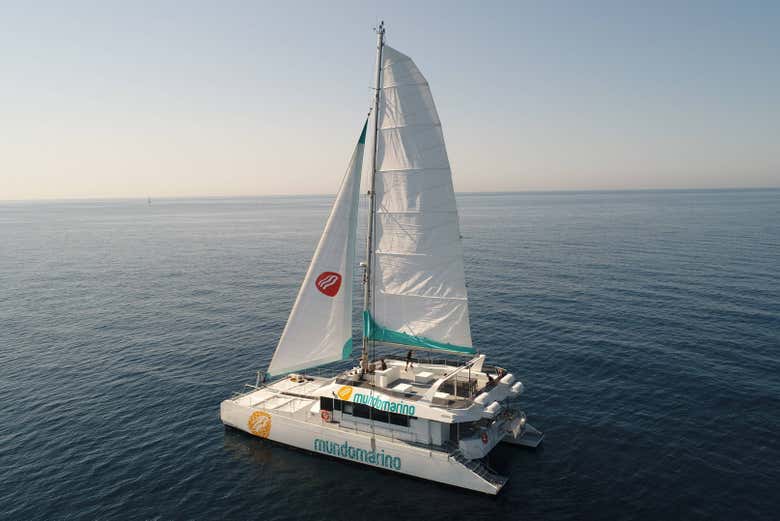 Paseo en catamarán por la bahía de Málaga
