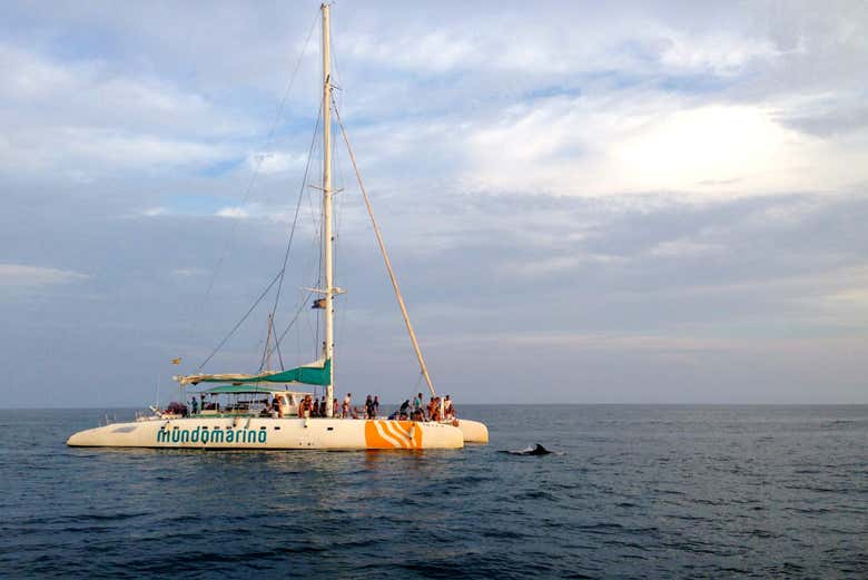 Paseo en catamarán por la bahía de Málaga