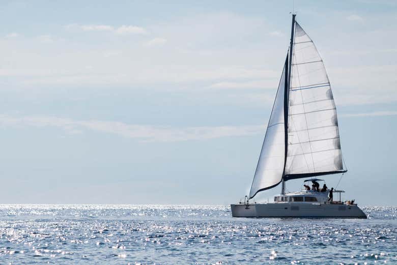 Paseo en catamarán por la bahía de Málaga