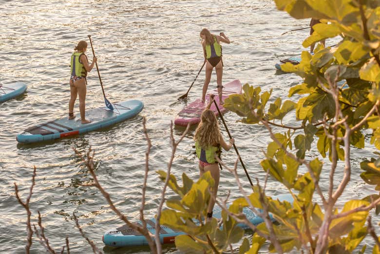 Alquiler de equipo de paddle surf en Sevilla